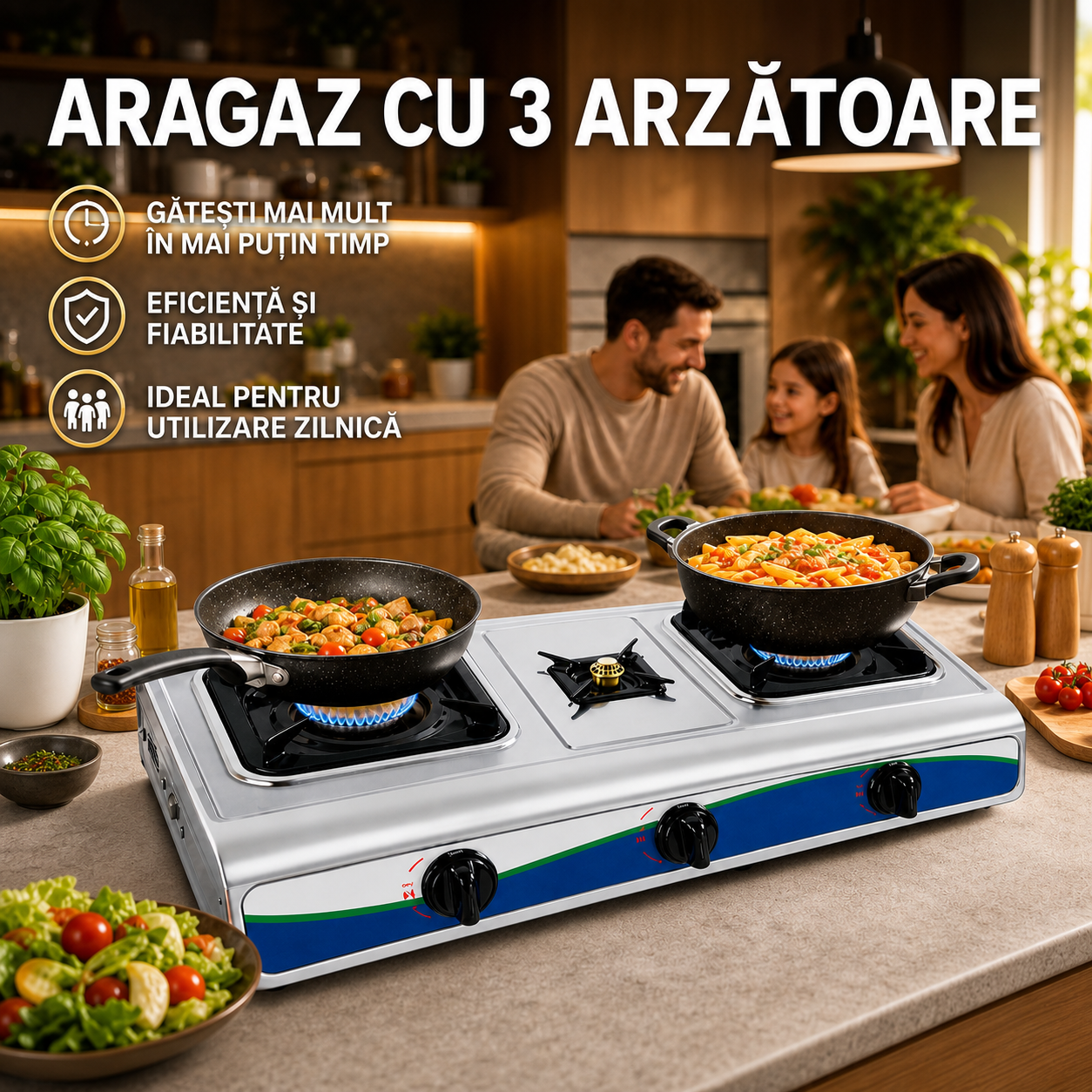 Plita/Aragaz pe Gaz cu 2 Arzatoare, Carcasa Metalica, 72 x 39 x 10 cm