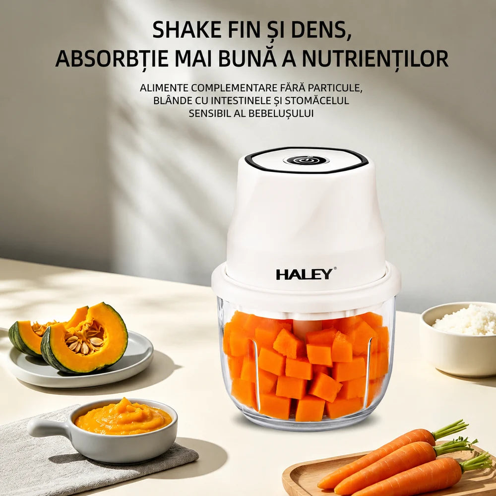 Tocător Electric HALEY HY-1255, 300W, Recipient din Sticlă 350 ml, 6 Lame Inox, Încărcare USB Type-C
