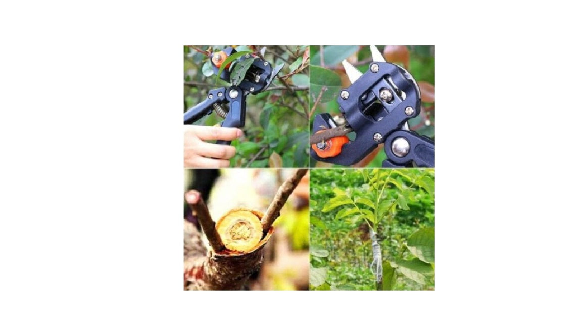 Set unelte altoire oțel inoxidabil – clește cu 3 lame interschimbabile