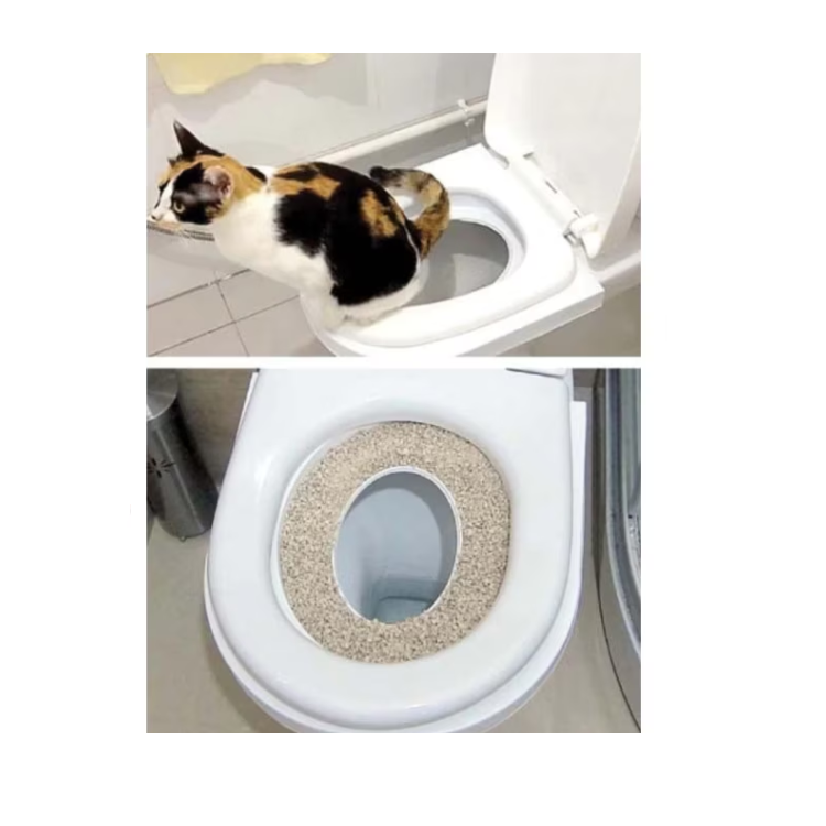 Kit pentru educarea pisicii la toaletă – 5 etape, fără mizerie