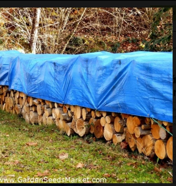 Prelata impermeabila cu inele 6x5 m, albastra, rezistenta la apa