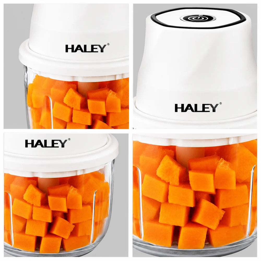 Tocător Electric HALEY HY-1255, 300W, Recipient din Sticlă 350 ml, 6 Lame Inox, Încărcare USB Type-C