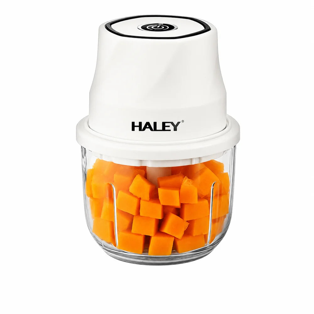 Tocător Electric HALEY HY-1255, 300W, Recipient din Sticlă 350 ml, 6 Lame Inox, Încărcare USB Type-C